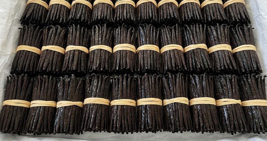 Ugandan vanilla beans