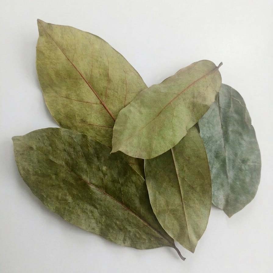 Soursop Leaf